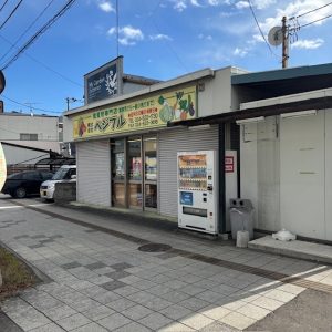 豊田町　売地